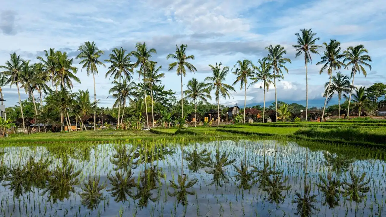 100 Common Indonesian Verbs To Rapidly Boost Your Vocabulary