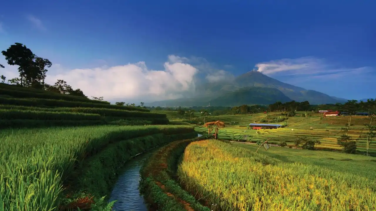 Essential Indonesian Travel Phrases For Your Trip To Bali And Beyond