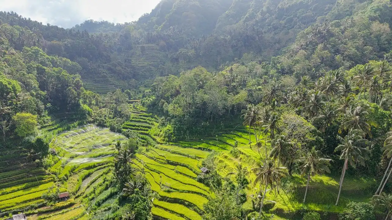 A Guide To Finding The Best Indonesian Tutors On Italki
